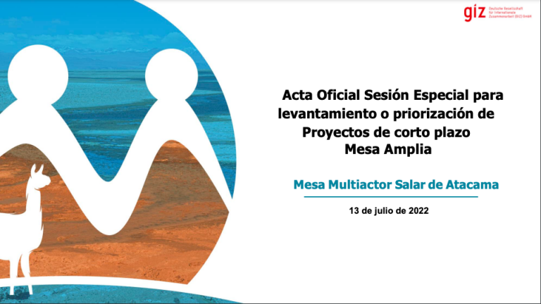 Acta sesión extraodinaria 13 de julio 2022